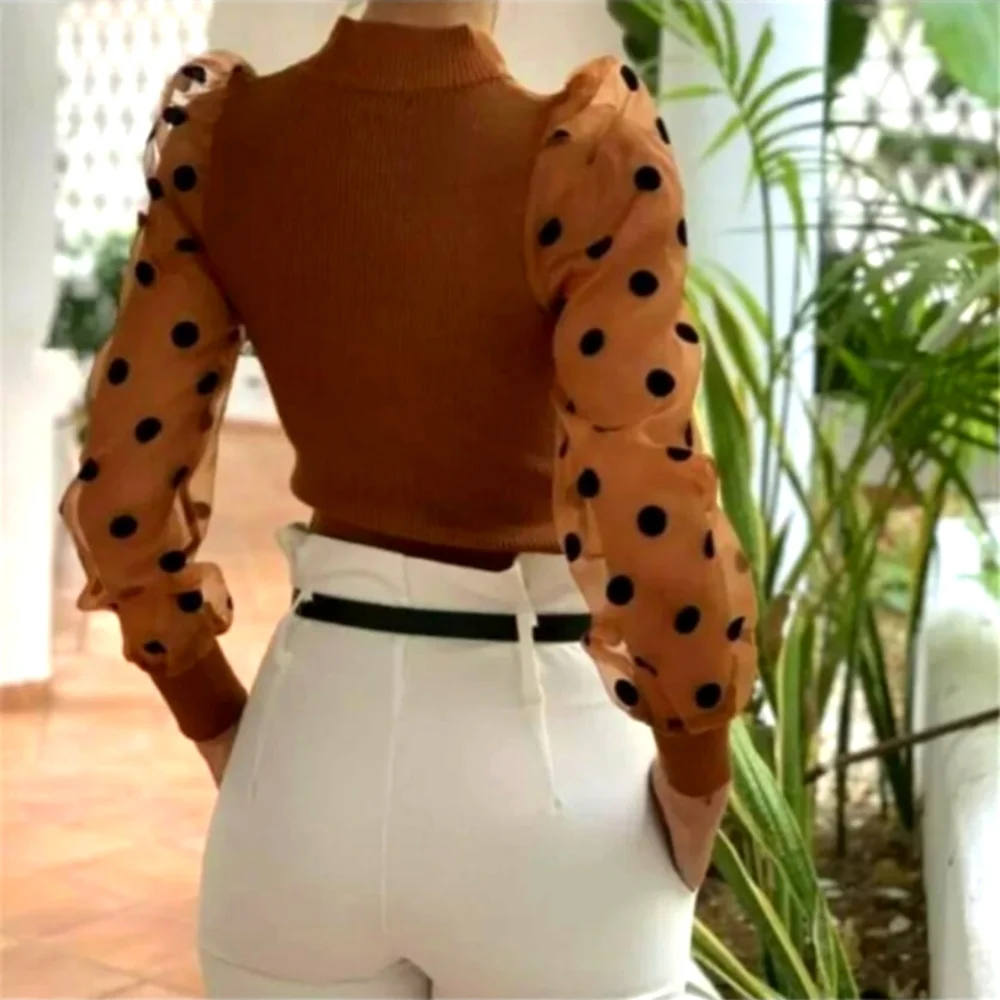 Bronze Mesh Polka Dot Patchwork Puff Bishop Sleeve Fitted Top - Picture 4 of 6